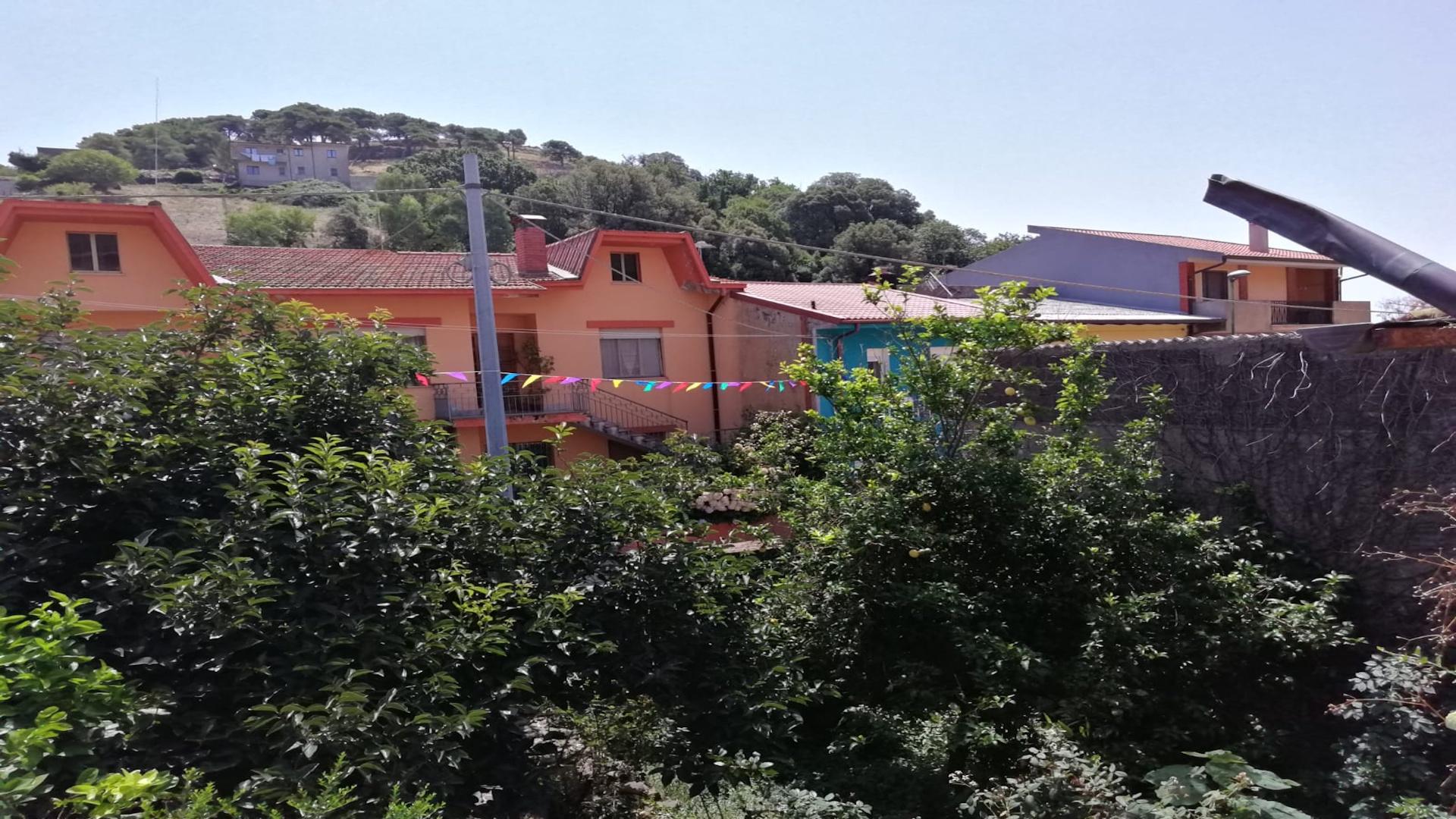 vista