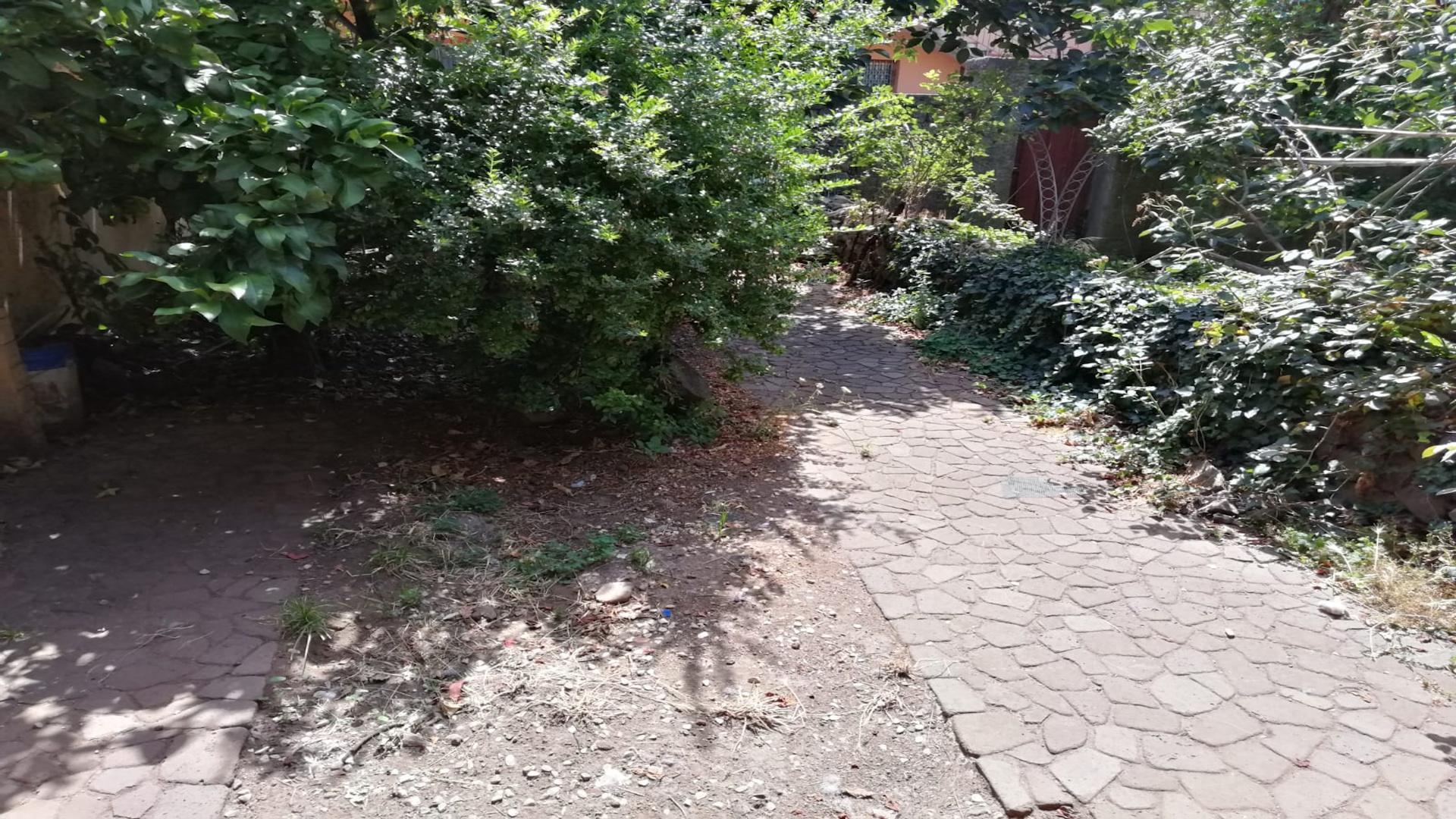 giardino