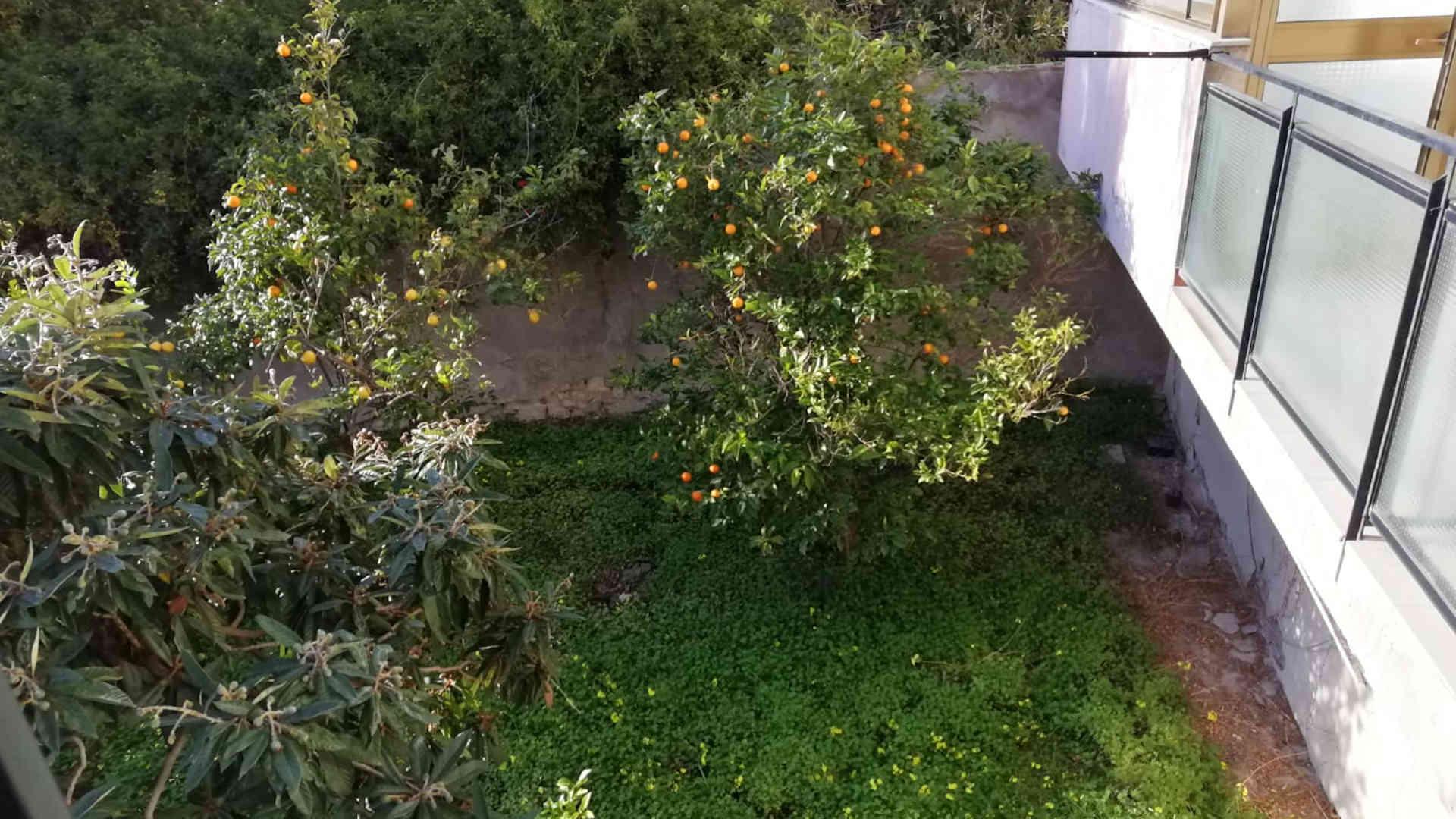 giardino posteriore